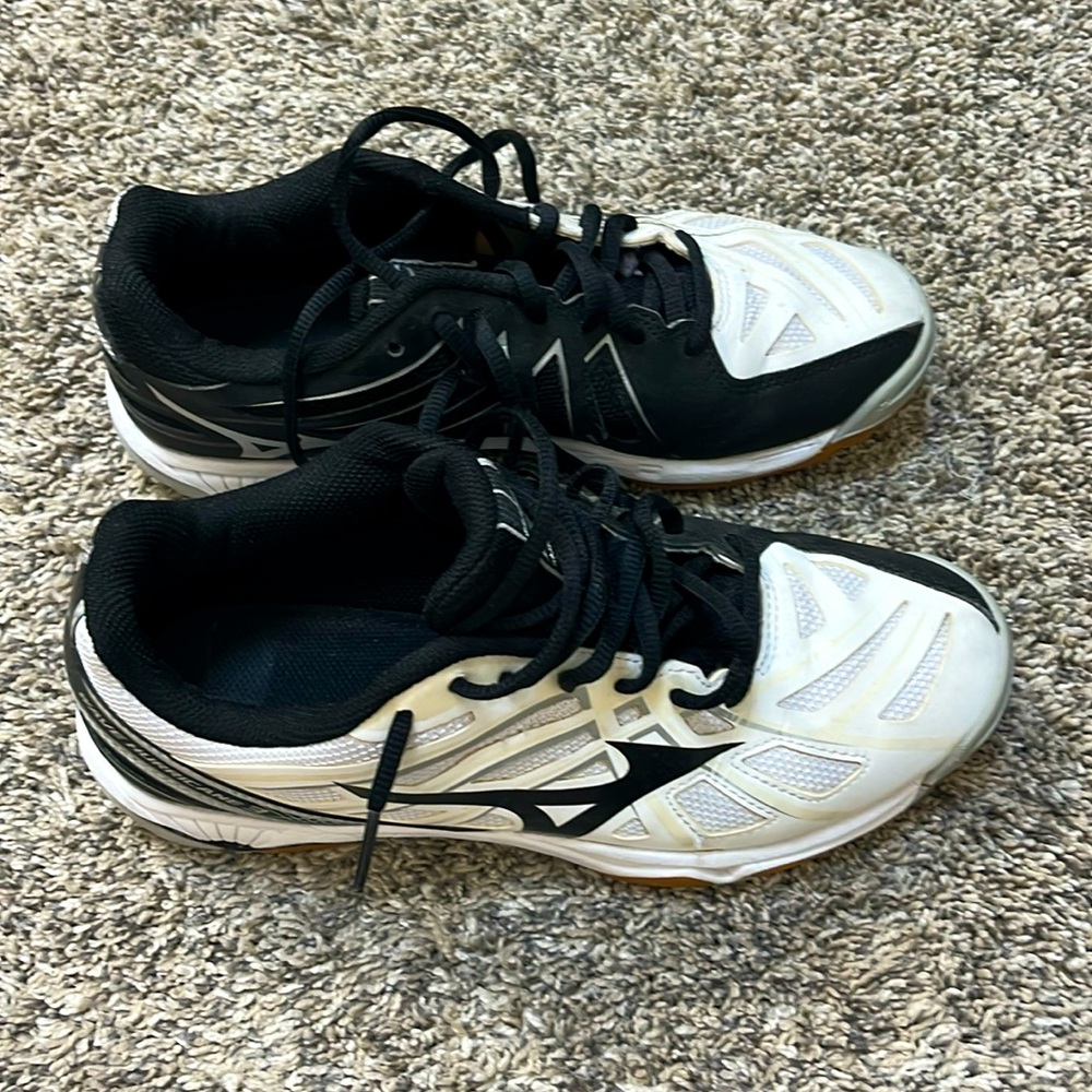 Mizuno Volleyball shoes